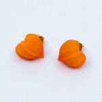 Серьги пусеты физалисы золото (Бижутерия)